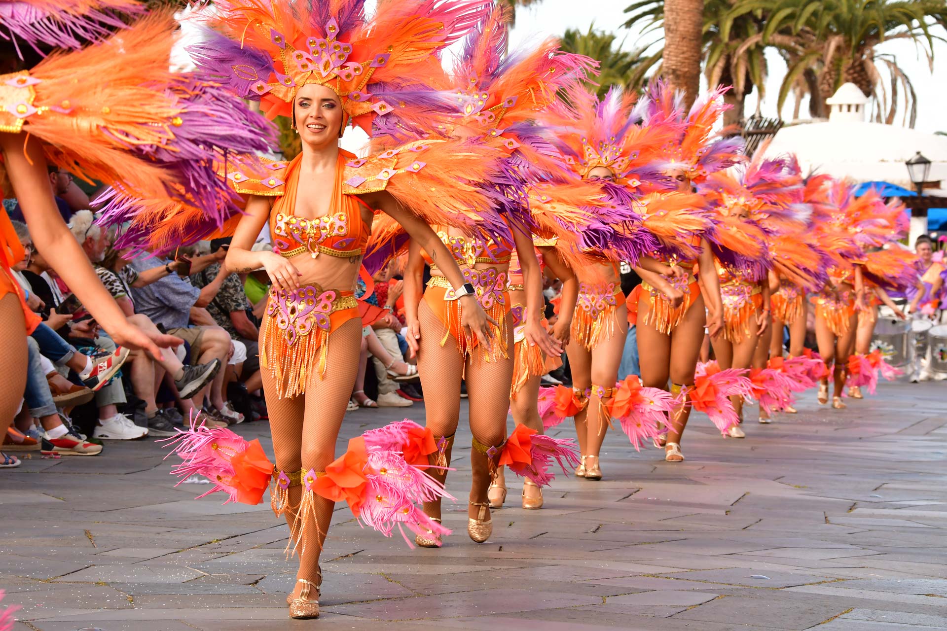 Zufaelliges Bild 2025